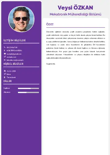 Mekatronik Mühendisliği Cv Örnekleri cv indir